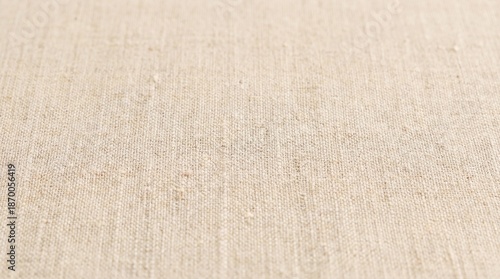 Natural Beige Woven Fabric Texture Close-up