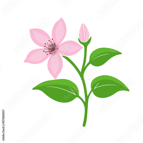 Object pink flower Hand drawn. Not AI, vector illustration