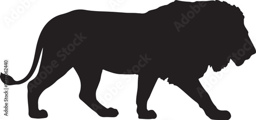 Male Lion Silhouette Walking in Side Profile, Isolated on White Background
