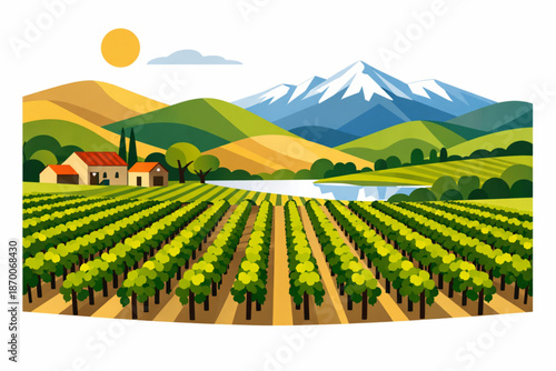 Vector Illustration of Central Chile Vineyards with Geometric Stylized Landscapes on a White Background