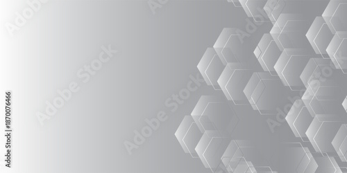 Hexagonal grey white combination color with grey background. Modern digital concept design. Suit for banner, poster, brochure, prsentation. Vector illustration