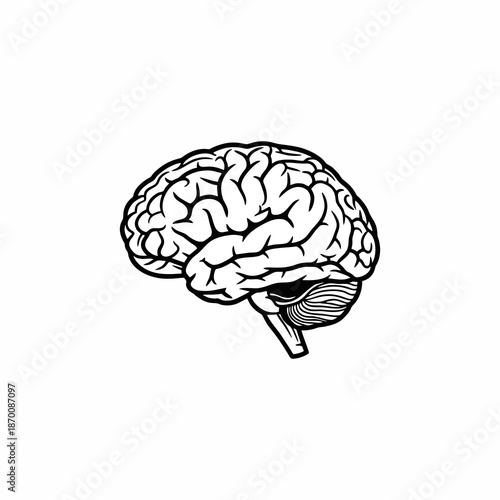 human brain tissue vector white background