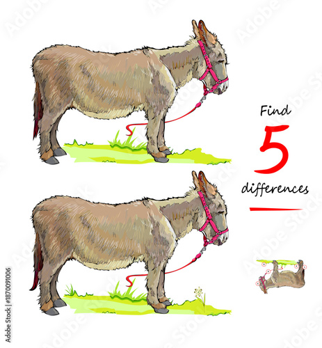 Find 5 differences. Drawing of cute farm donkey from Douarnenez zoo. Logic puzzle game for children and adults. Page for kids brain teaser book. IQ test for smartest. Hand drawn vector illustration.