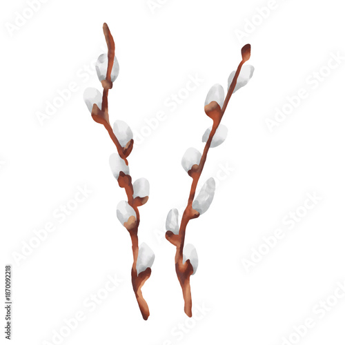 Hand-drawn watercolor Easter illustration featuring delicate pussy willow branches