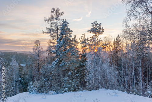 Magnificent snow-covered forest on the mountain, bright rays of sunset illuminate the treetops and snow.