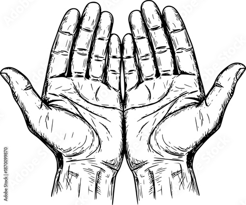 Realistic sketch of two open hands with detailed linework, concept of giving. Vector illustration