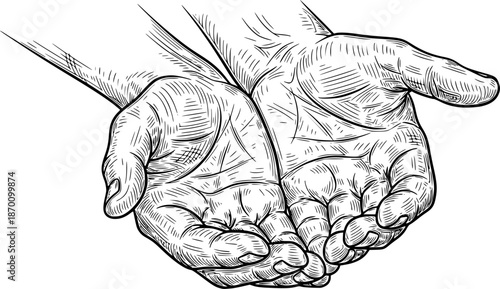 Realistic sketch of two open hands with detailed linework, concept of giving. Vector illustration