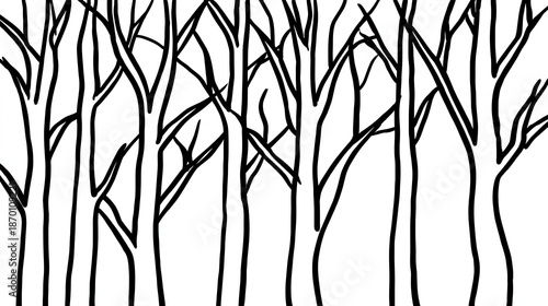 Simplified black outline drawing depicts a dense stand of bare tree trunks and branches against a white background.