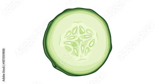 A close-up illustration of a single, fresh cucumber slice showing its internal seeds and green rind.