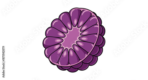 A detailed illustration of a purple berry cross-section, showing its internal structure and individual drupelets.