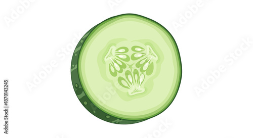 A vibrant, fresh green cucumber slice with visible seeds and skin texture on a white background.
