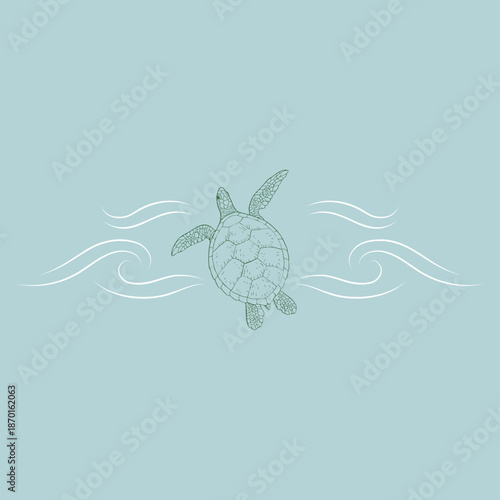 Turtle in water logo