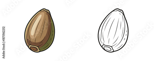 Colored and line art hemp seed grain illustrations in cartoon style with brown and green tones for botanical education or food design isolated on white background