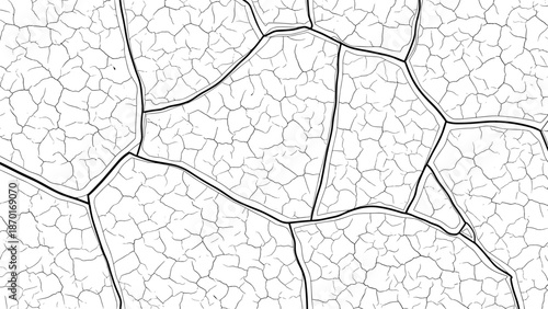 Black and white illustration of cracked earth surface with many small fissures