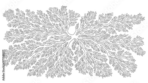 Intricate black and white illustration of tree branches in detailed design