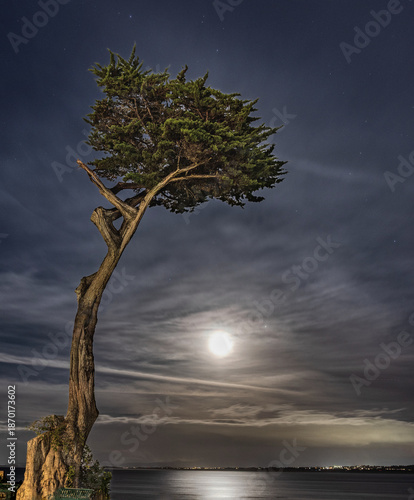 Moonrise over Pacific Grove Lover's Point