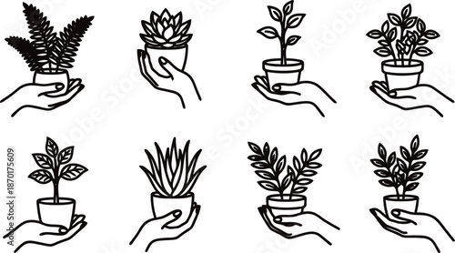 Line drawing of many potted plants in cupped human hands  plants and flowers