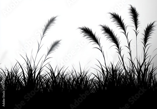 silhouettes of tall grass and feathery plants against a white gradient background evoking calm and simplicity