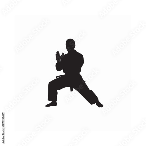 Silhouette of a martial artist in a dynamic fighting stance against a white background