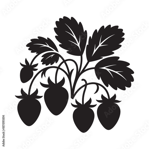Black and white illustration of a strawberry plant with leaves and fruit