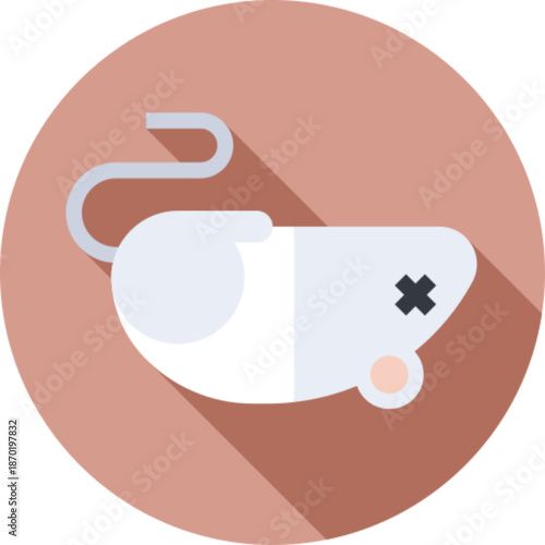 Rat rodent animal pest