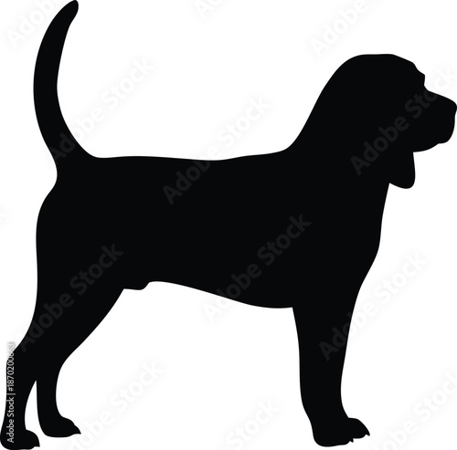 Profile of a black hound dog silhouette standing alert and still on a clean white surface