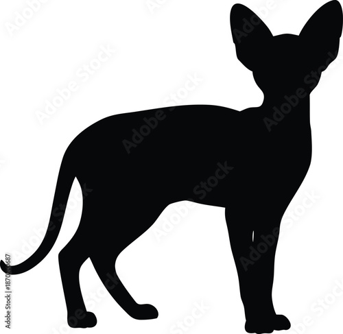 Sphynx Cat Silhouette Standing Alertly Looking Forward with Tail Raised