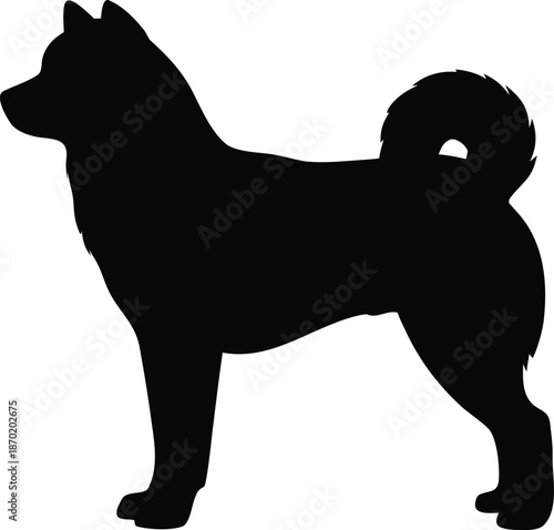 Sleek black dog silhouette in a confident standing profile pose on a clean white background