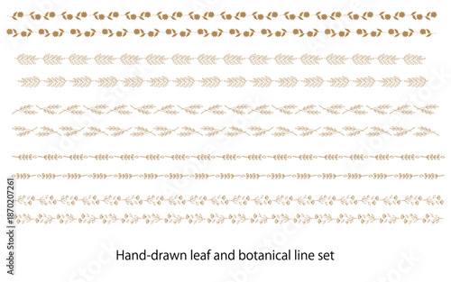 セピア色の手描きの植物ラインセット。