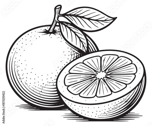 Hand drawn line art orange fruit set featuring a whole and a half orange with leaves for food and beverage designs