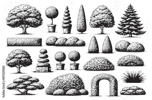 Hand drawn line art garden plants set featuring trees, bushes, topiaries, a hedge, and an arch for landscaping design