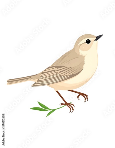 Illustration of a light brown bird