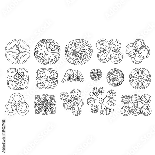 A collection of intricate cell and microorganism illustrations in a minimalist line art style