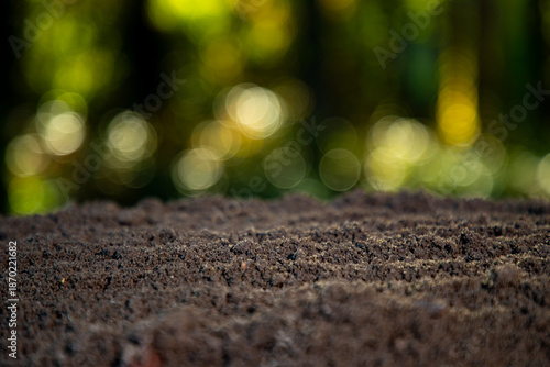 Soil macro with soft bokeh. Soil texture for earthy visuals. Soil surface in forest setting. Soil ground for calm background.