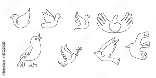 Collection of various bird illustrations in flight and perch