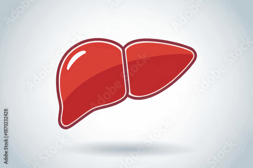 Stylized Red Human Liver Organ Illustration