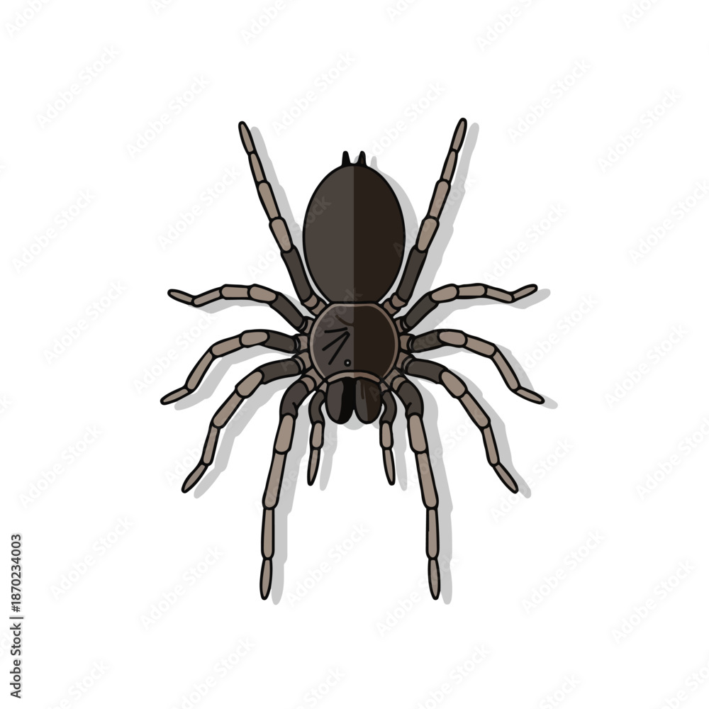 Obraz premium A macro closeup of a hairy brown tarantula arachnid isolated on a white background captures the scary and creepy nature of this wildlife animal
