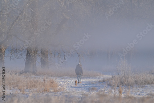 man walking in the field, wildlife, nature, outdoors, season, walk, winter, Canada