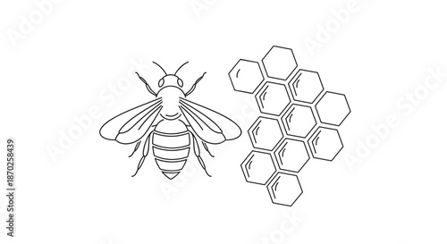 A black and white illustration of a bee next to a honeycomb