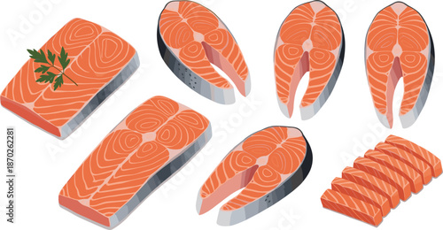 Fresh Salmon Fish Vector Set with Raw Fillets, Steaks, and Sliced Pieces for Seafood, Cooking, Nutrition, and Food Packaging Illustrations