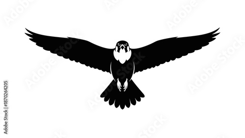 Black silhouette of a bird in flight against a white background.