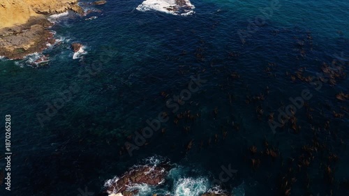 A wide aerial view of a coastal city with a sandy beach and turquoise water, hillside neighborhoods, palm trees, and rocky shoreline stretching along the sunlit ocean.
