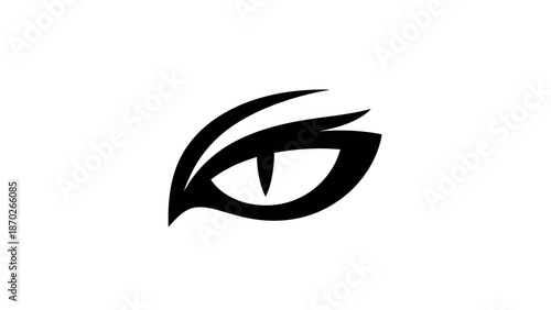 Stylized illustration of a human eye with bold black lines on a white background.