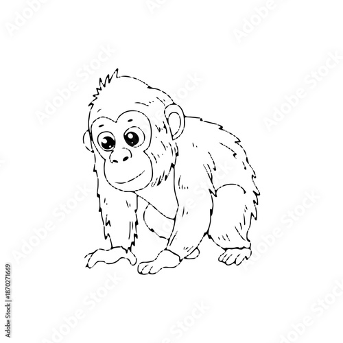 Outline black and white coloring on monkey and orangutan