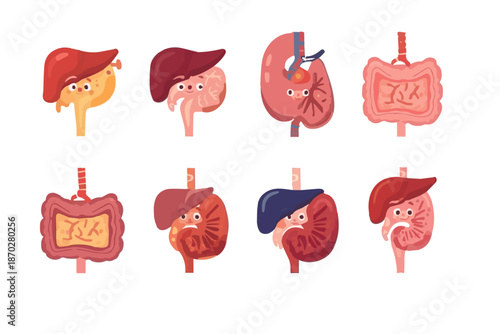 Whimsical collection of cartoon human internal organs, each depicted with unique and expressive facial features, providing a friendly and engaging visual for health, biology, and educational content