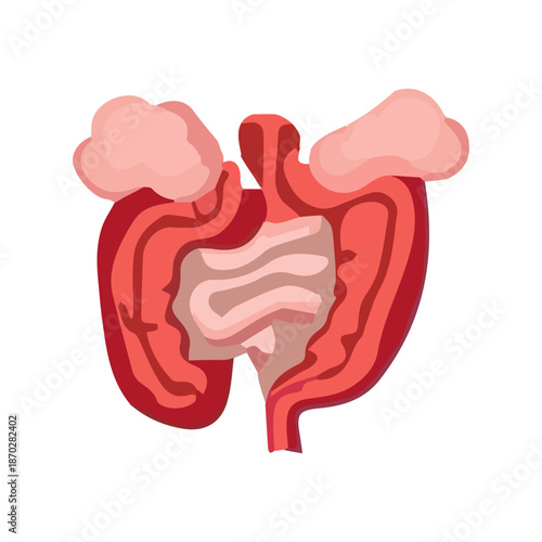 Human heart illustration vector icon design anatomy love symbol health care art logo