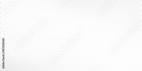 bstract grey white background with mesh of squares. Mosaic style. Digital. Cell. Grey white texture. Empty space for your headline.