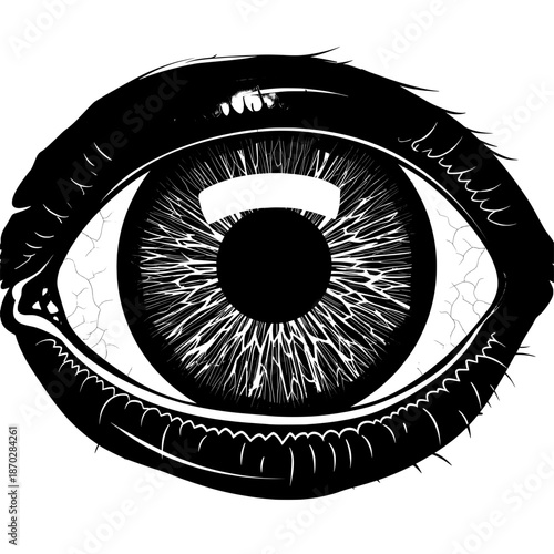 Detailed close-up of a black & white drawing of an eye, lashes, and intricate pupil