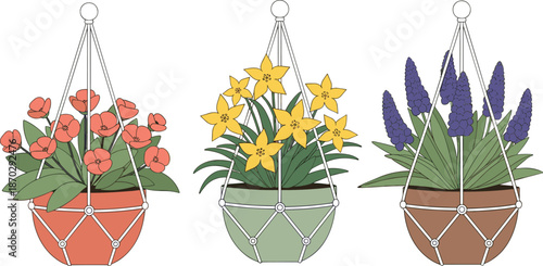 Flat vector illustration of three hanging potted plants with red flowers yellow lilies and purple lavender in macrame plant hangers