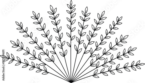 Minimalist black and white hand drawn symmetrical fan shaped laurel branch arrangement with elegant leaves isolated on a plain white background.